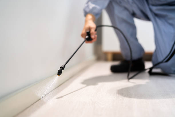 Licensed Cockroach Control service in Lake City, IA - Nex Pest Control