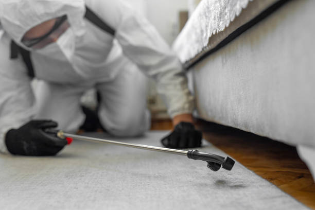 Professional Cockroach Control technician working in Lake City, IA