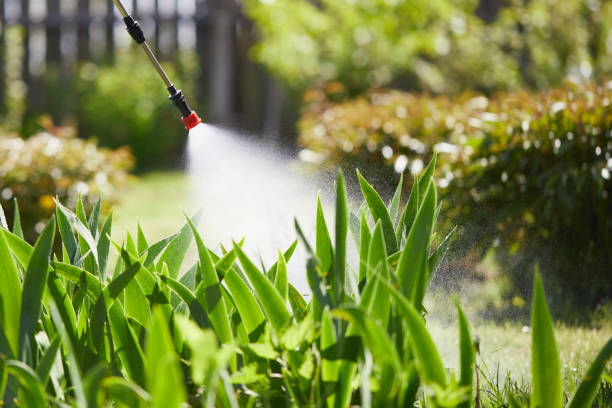 24/7 Emergency Cockroach Control experts in Lake City, IA